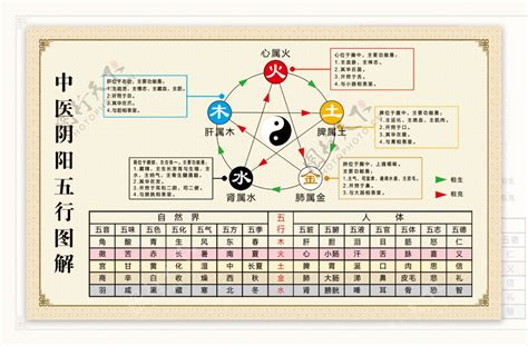 五行對應器官